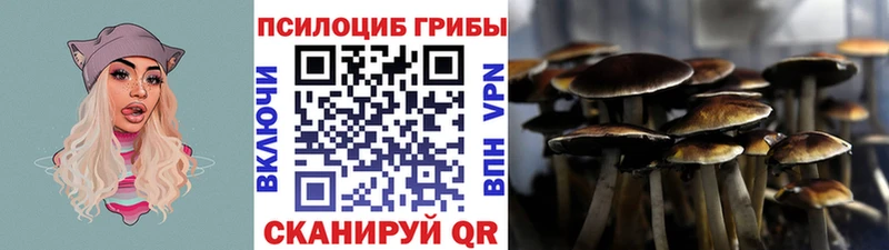 Купить  Яблоновский  Галлюциногенные грибы GOLDEN TEACHER 
